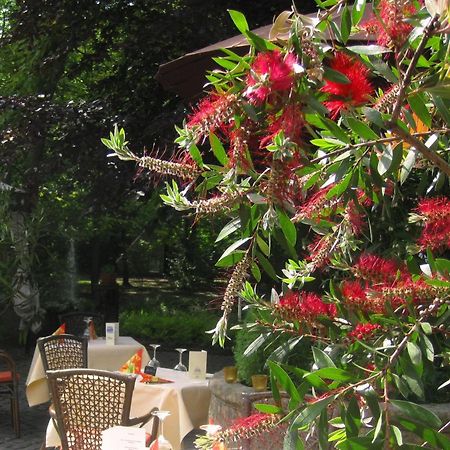 Landidyll Wilminks Parkhotel Neuenkirchen  Ngoại thất bức ảnh
