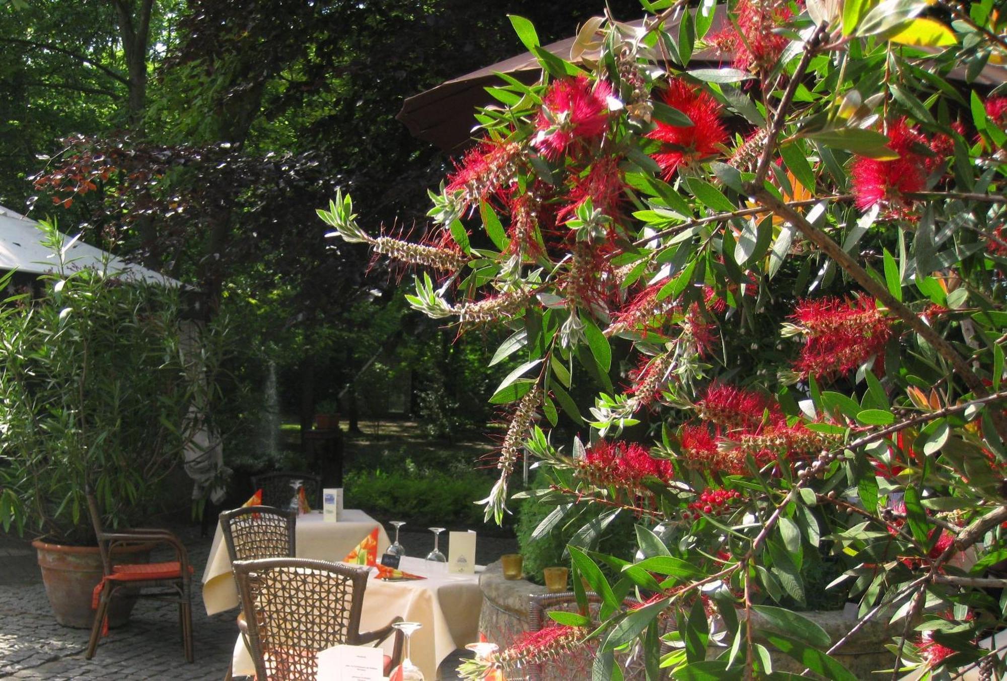 Landidyll Wilminks Parkhotel Neuenkirchen  Ngoại thất bức ảnh